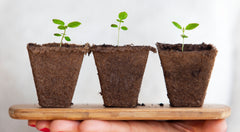 plantable packaging biodegradable